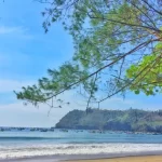 Pantai Sine Pantai Cantik dengan Pemandangan Perbukitan Hijau di Tulungagung