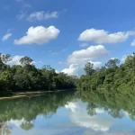 Wisata Alam di Singapura untuk Pengalaman Liburan yang Unik Ditengah Kota Modern